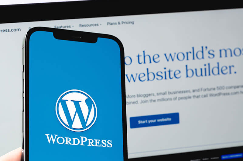 Why Is WordPress Popular in Singapore These Days?