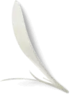 Image 4: Website Design Singapore