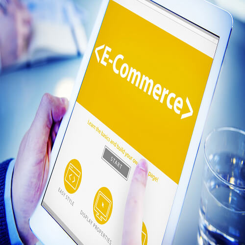 Develop E-commerce Website