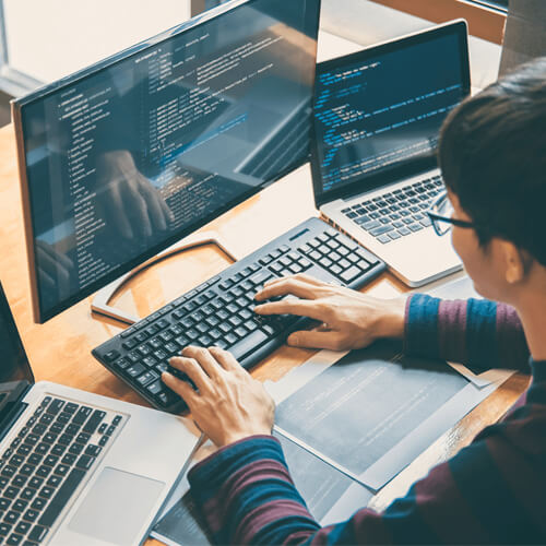 Singaporean Web App Developer Working