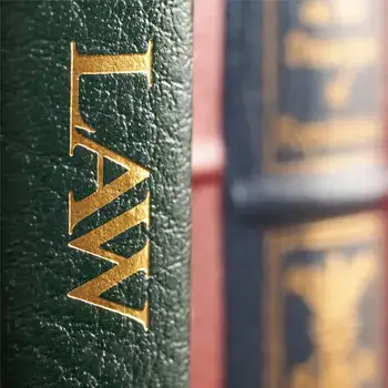 Virtus Law