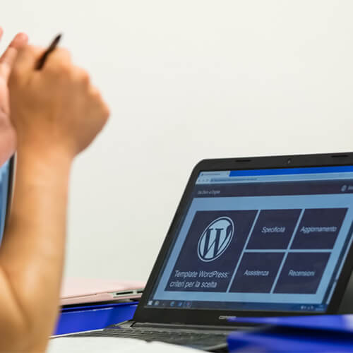 WP Website Designer Discussing