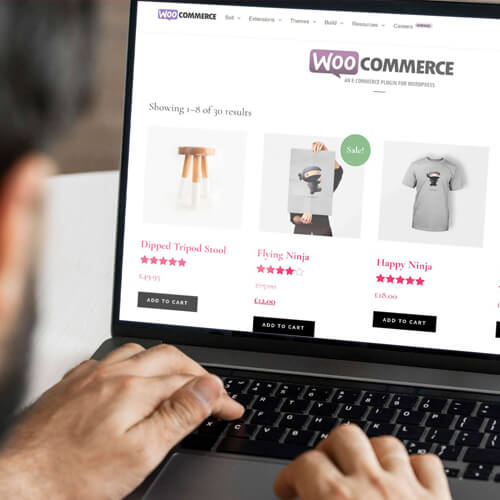 Web Developer Using Woocommerce for an E-Commerce Website