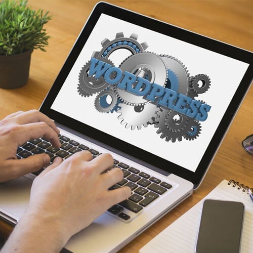 Web Developer Working with WordPress