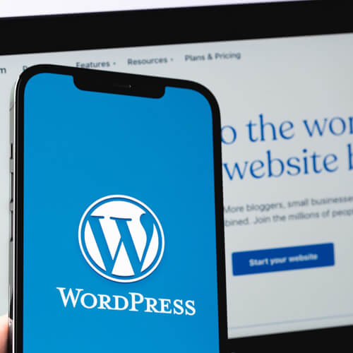 Why Is WordPress Popular in Singapore These Days