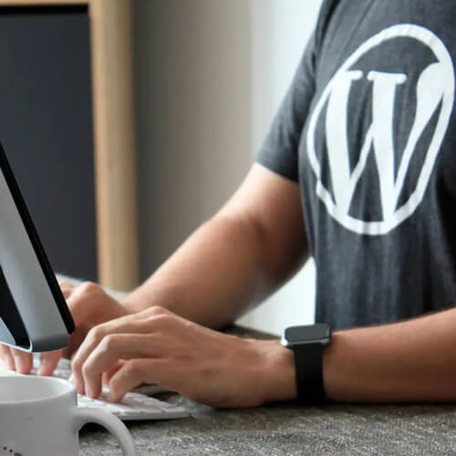 WordPress Plugin Development