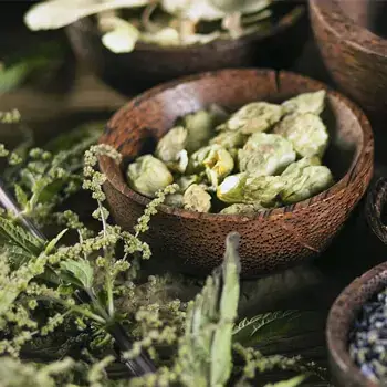 iVeGreen Medicine