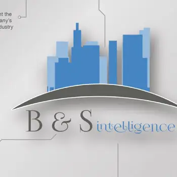 B&S Inteligence