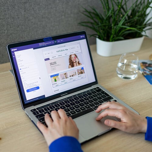 singaporean browsing a wordpress ecommerce website