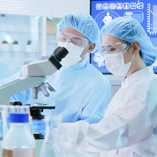 Website Designer for Biotechnology Industry