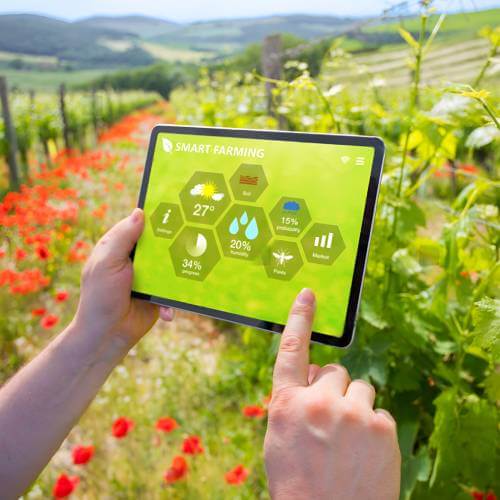 Website Designer For Green Infrastructure Industry Managing Smart Farming