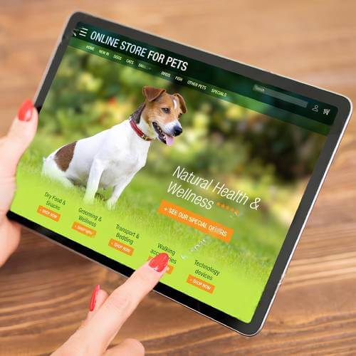 Singaporean Female Browsing A Web Page Crafted By A Website Designer For Pet Care Companies