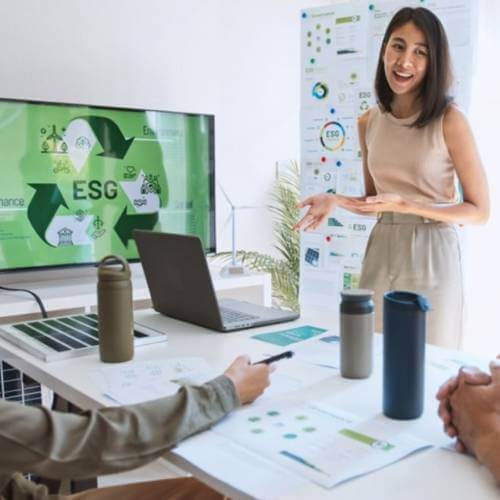 Singaporean Executives Evaluating Visuals From A Web Design Company For Green Finance