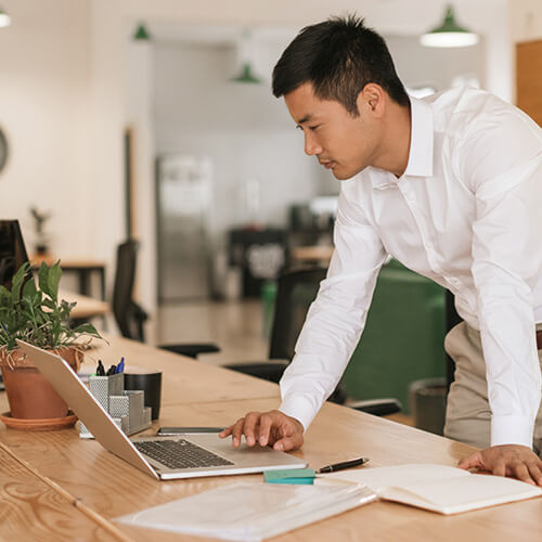 WordPress Multisite Development