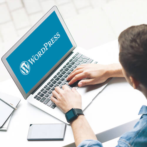 WordPress Plugin Development