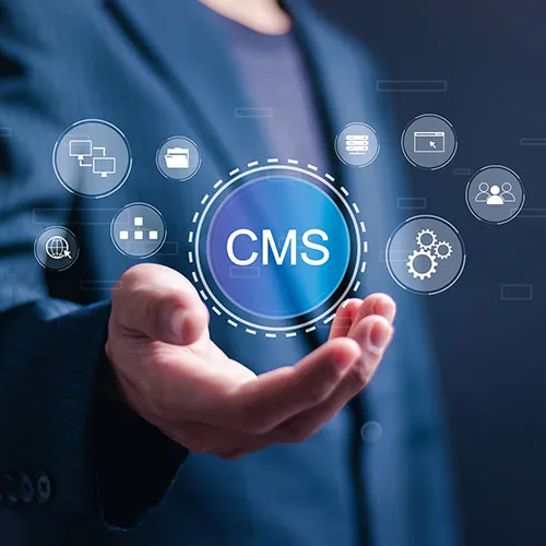 headless cms web developer singapore
