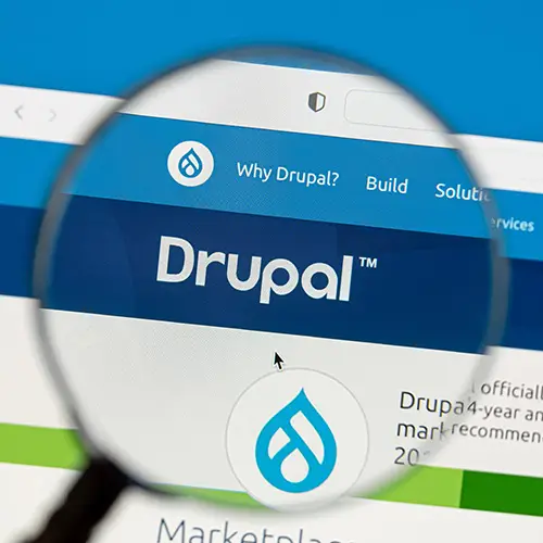 Drupal CMS Developers