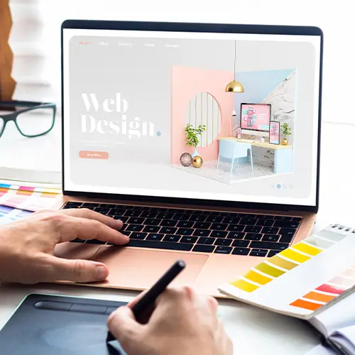 Professional Website Development