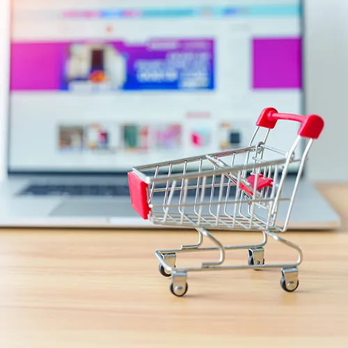 High-Growth Shopify Store